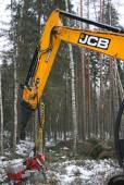(Новости) Харвестер на базе экскаватора JCB JS 220 LC на лесозаготовке в Тверской области